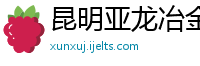 昆明亚龙冶金有限公司